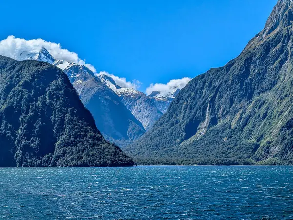 Milfornd Sound çevresindeki kar zirvesi dağları