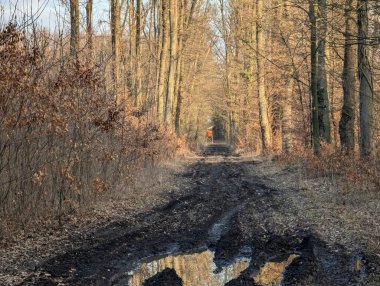 Yunanistan Varlaam Güzel Manastırı