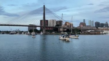 Blackwattle Körfezi ve Rozelle Körfezi Günbatımı, Sydney NSW, Avustralya