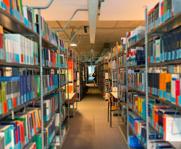 Public library and bookshelves with literature. Blurring the background image.