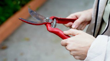 Bir kadın elinde kırmızı bir secateur tutuyor.
