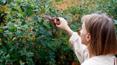 Bir kız kesiyor ağaçları mezhepçilerle