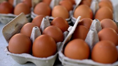 Kahverengi tavuk yumurtaları kağıt kaplarda yatar.