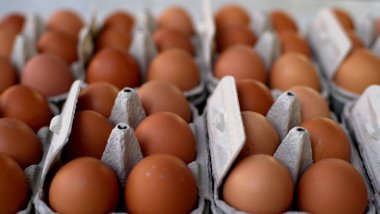 Kahverengi tavuk yumurtaları kağıt kaplarda yatar.