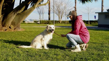 Portekiz 'de bir kız av köpeğini parkta gezdirir ve köpeği eğitir. Yumuşak odak