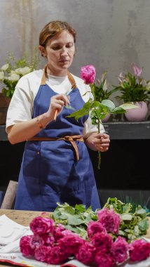 Bir çiçekçi çiçekçide pembe güllerden bir buket yapar. Küçük bir iş. Yakın plan.