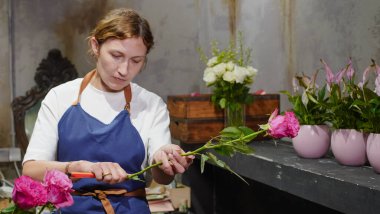 Bir çiçekçi çiçekçide pembe güllerden bir buket yapar. Küçük bir iş. Yakın plan.