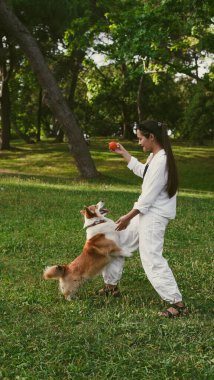 Genç bir kız parkta corgi köpeğiyle oynuyor. Köpekle hayat. Yumuşak odaklanma. Yakın plan.