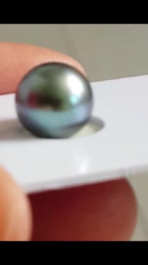 Beyaz Arkaplanda Renkli Iridescent Karadeniz İncisinin Yakın Çekimi