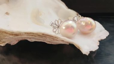 Mücevher Fotoğrafçılığı İçin Deniz Kabuğunda Zarif Tatlı Su İncileri
