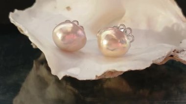 Mücevher Fotoğrafçılığı İçin Deniz Kabuğunda Zarif Tatlı Su İncileri