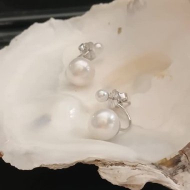 Doğal İstiridye Kabuğu Arkaplanda Gösterilen Zarif Beyaz İnci Küpeler