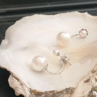 Doğal İstiridye Kabuğu Arkaplanda Gösterilen Zarif Beyaz İnci Küpeler