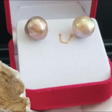 Zarif Barok İnci Küpeler Kabuklu Kırmızı Mücevher Kutusunda sergilenir