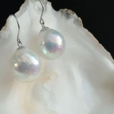 Mücevher Sergisi için Beyaz Arkaplanda Zarif İnci küpeler