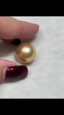 Altın Güney Denizi İncisine Nazikçe Dokunan Bir Elin Yakın Çekimi