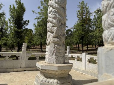 Bahçedeki güzel şeyler