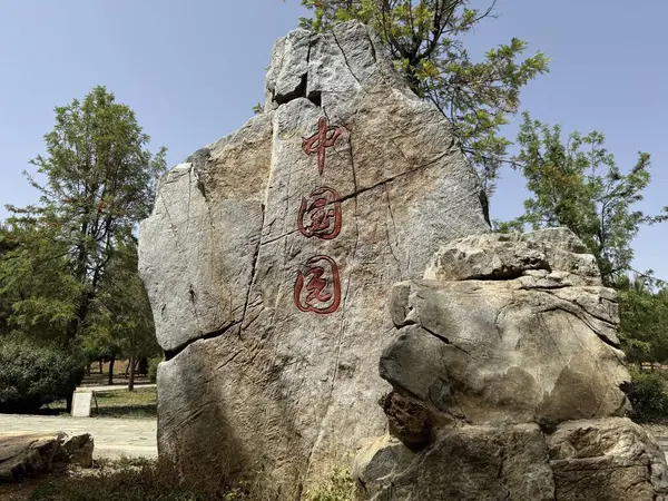 Eski eşyalarla dolu güzel bir bahçe