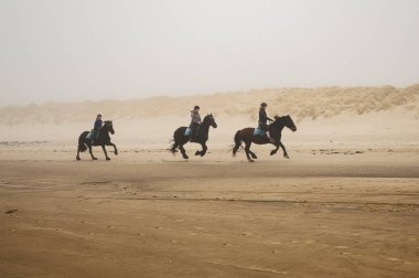 Üç kişi kumlu bir plajda at sırtında at sürerken, manzaranın ve mavi gökyüzünün tadını çıkarırken, atlarına raptiye ve dizginlerle birlikte biniyorlar.