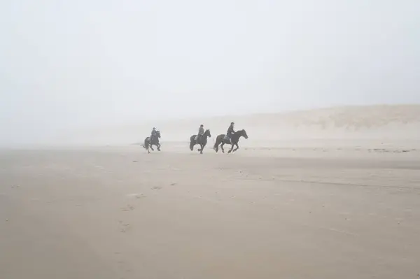 Sabahın erken saatlerinde, Ameland 'da, adanın sahilinde ata binen üç genç kadın.