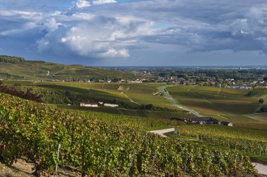 view over the vineyards of Hautvillers, the capital of champagne clipart
