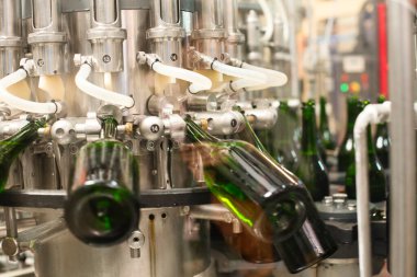 Reims 'deki mahzenlerde şampanya şişesi doldurulmadan hemen önce.