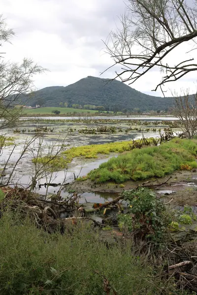 Santoa, Cantabria İspanya 'yı gökyüzünün sularında ve günbatımında bulutlarda kayık ve yansımalarla batırdı.