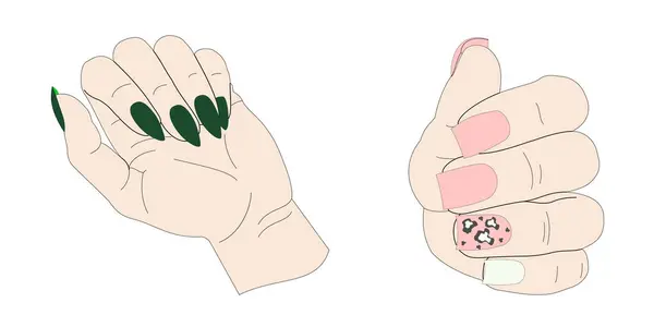 Manikür. Kadın güzelliği. Çiviler. Görüntü.