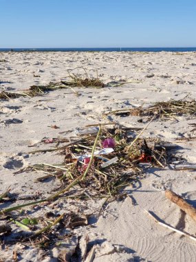 trash on the beach after low tide