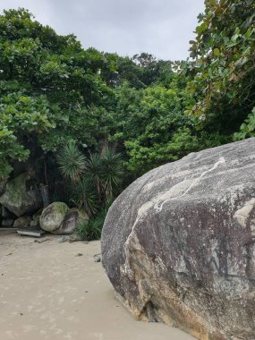 Güzel deniz manzarası ve kumsal.