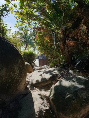 Yeşilliklerle çevrili güzel bir taşın dikey çekimi.