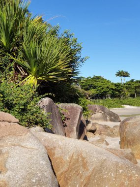Yazın güzel bir park manzarası.