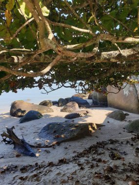 Güzel deniz manzarası