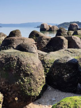 Deniz kıyısının güzel manzarası