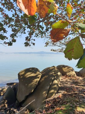 Parktaki gölün güzel manzarası