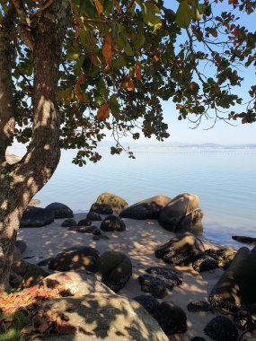 Güzel deniz manzarası