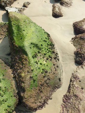 Akdeniz kıyısındaki plaj, İspanya.