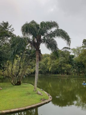 Parkın güzel manzarası