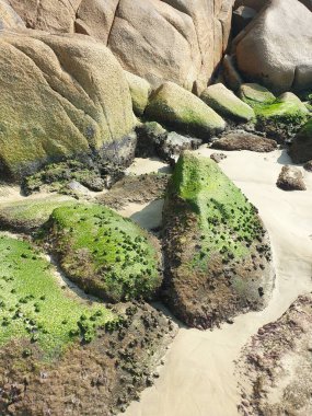 Güzel deniz manzarası