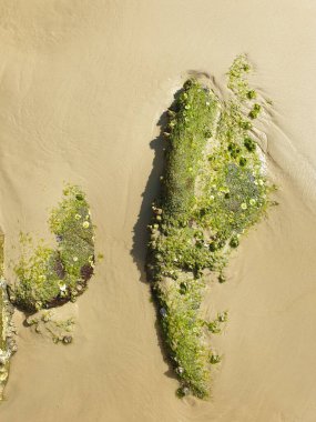 Kumsalın dikey görüntüsü.