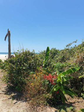 Parkın güzel manzarası