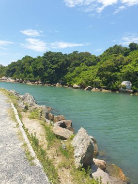 Deniz kıyısının güzel manzarası