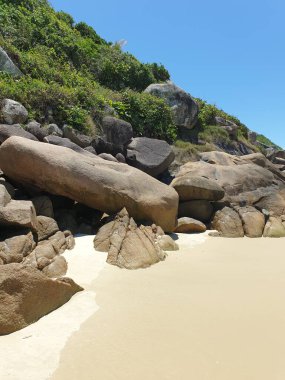 Mavi gökyüzü olan tropik plaj