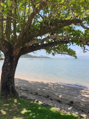 Güzel deniz manzarası