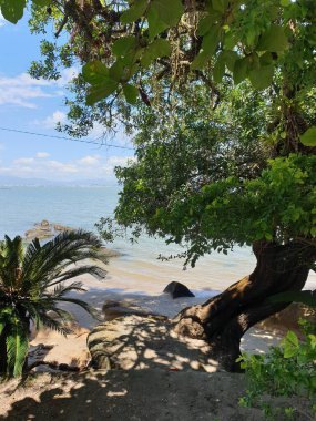 Güzel deniz manzarası