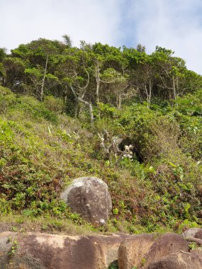 Hint Okyanusu adasının güzel manzarası