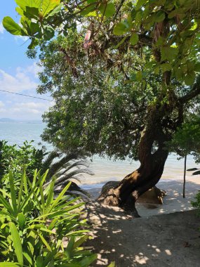 Doğanın güzel manzarası