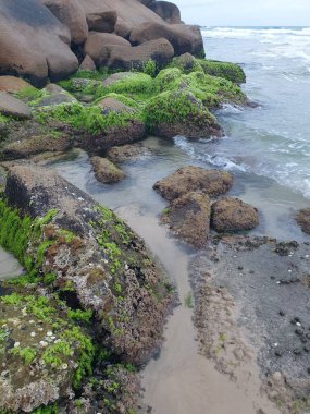 Güzel deniz manzarası