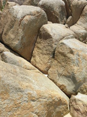 Deniz kıyısının güzel manzarası