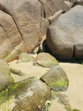 Deniz kıyısının güzel manzarası